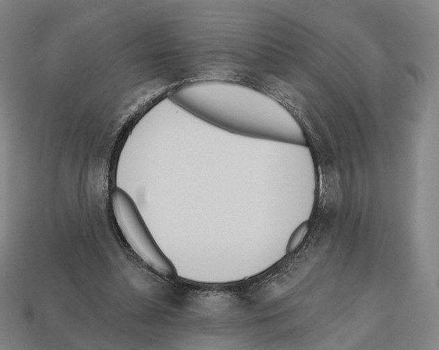 X0000112540348200909281104