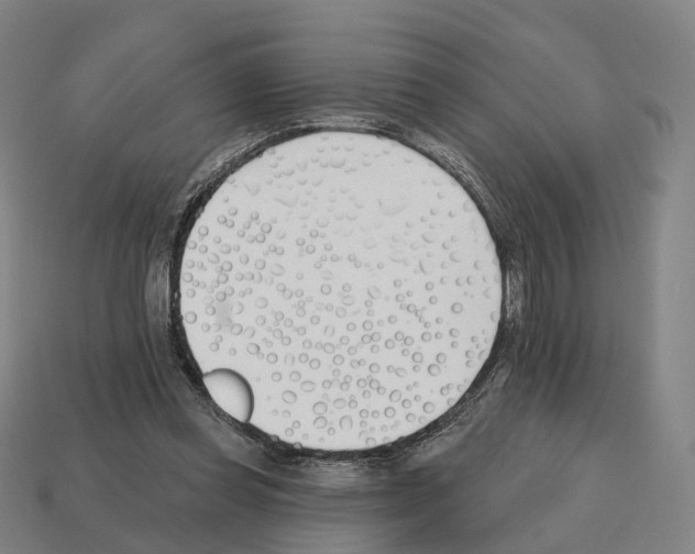 X0000112540349200909281104