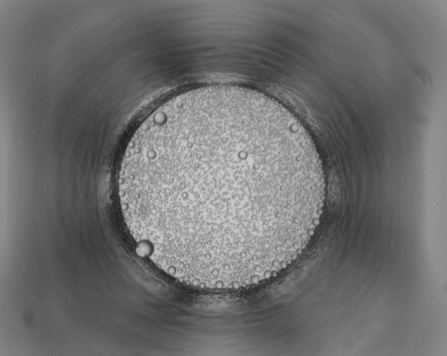 X0000112540351200909281104