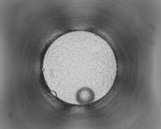 X0000112540354200909281104