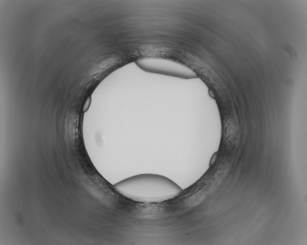 X0000112540356200909281104