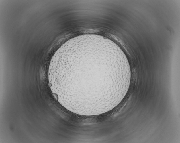 X0000112540357200909281104