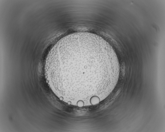 X0000112540359200909281104