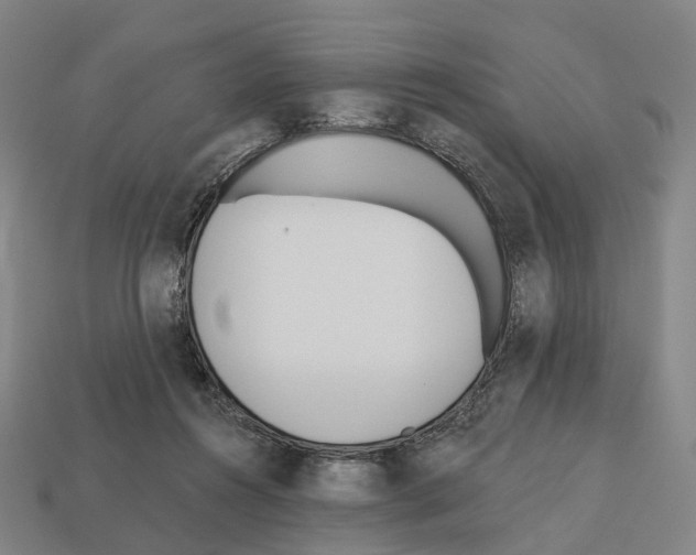 X0000112540360200909281104