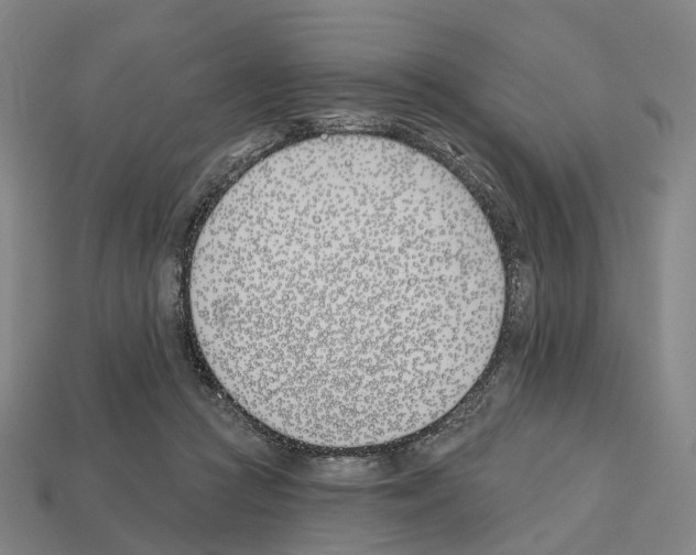 X0000112540361200909281104