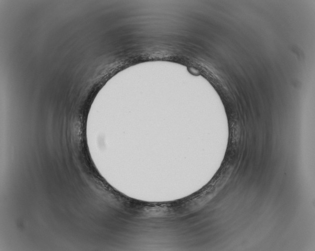 X0000112540362200909281104