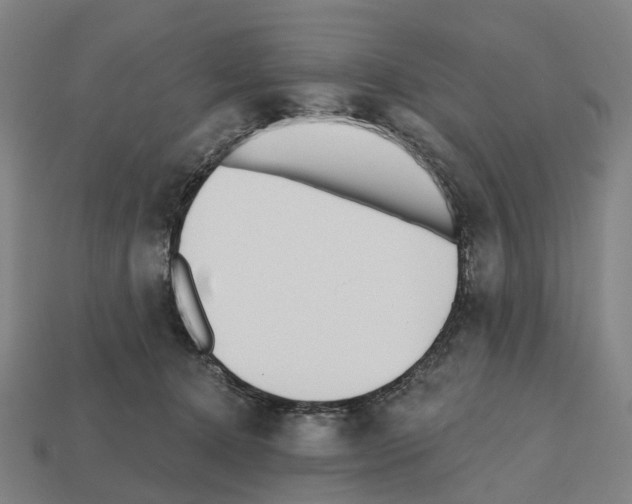 X0000112540368200909281104