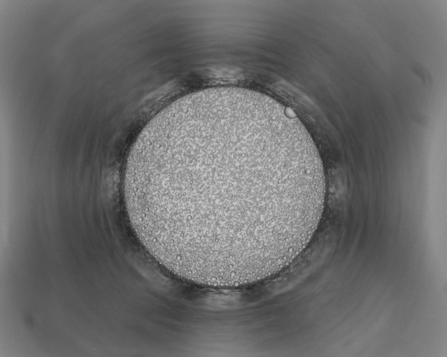 X0000112540369200909281104