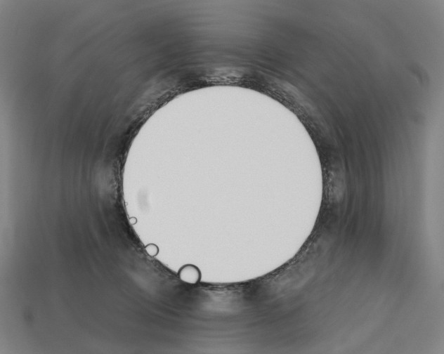X0000112540370200909281104