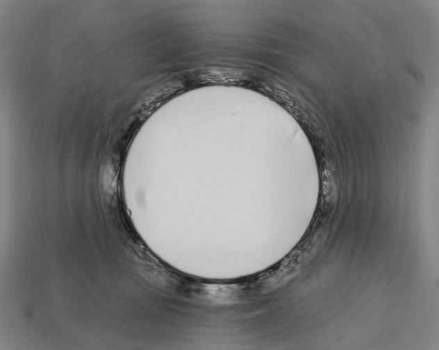 X0000112540371200909281104