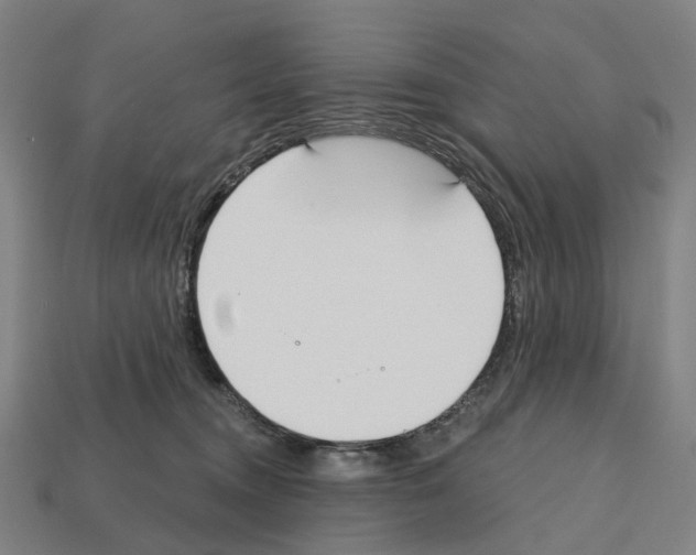 X0000112540372200909281104