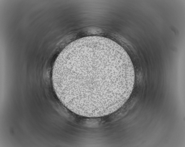 X0000112540373200909281104
