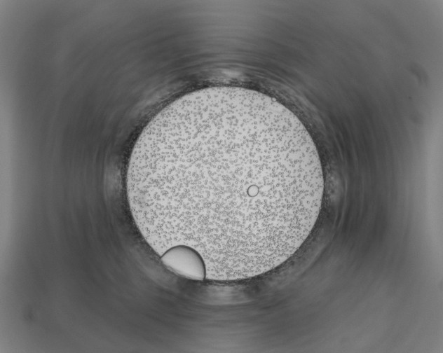 X0000112540375200909281104