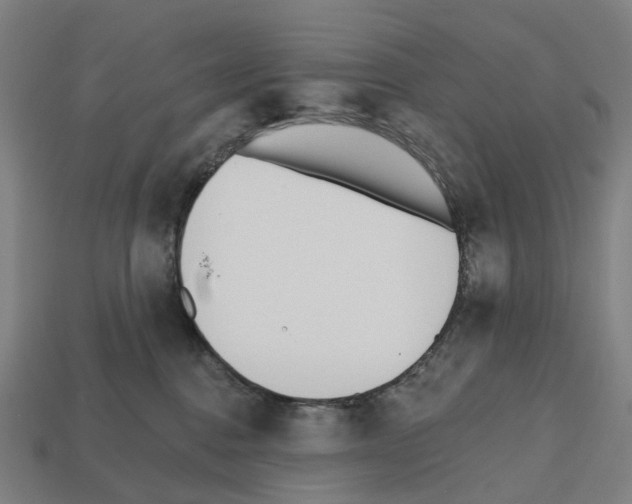X0000112540376200909281104