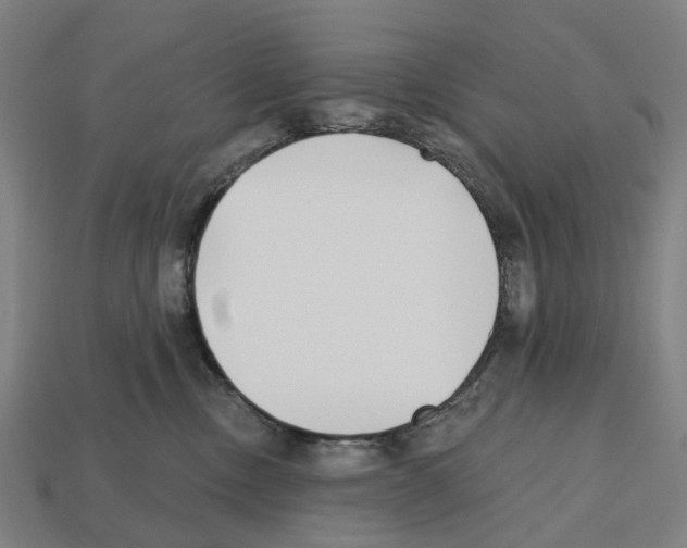 X0000112540378200909281104
