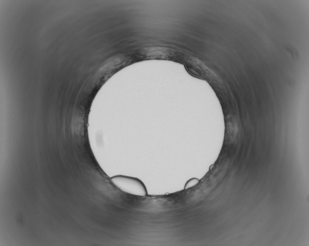 X0000112540379200909281104