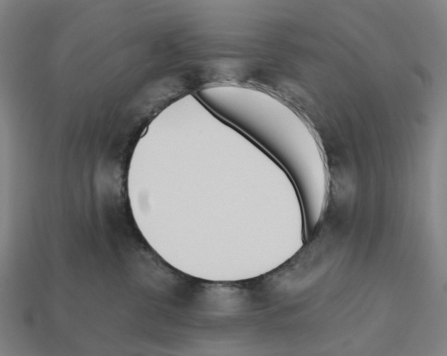 X0000112540380200909281104