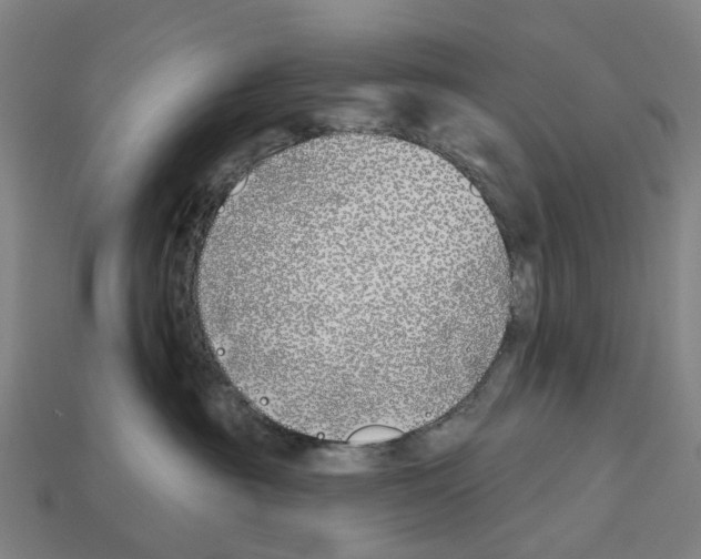 X0000112540381200909281104