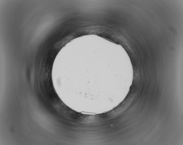 X0000112540382200909281104