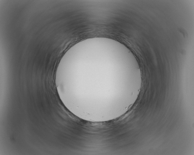 X0000112540384200909281104