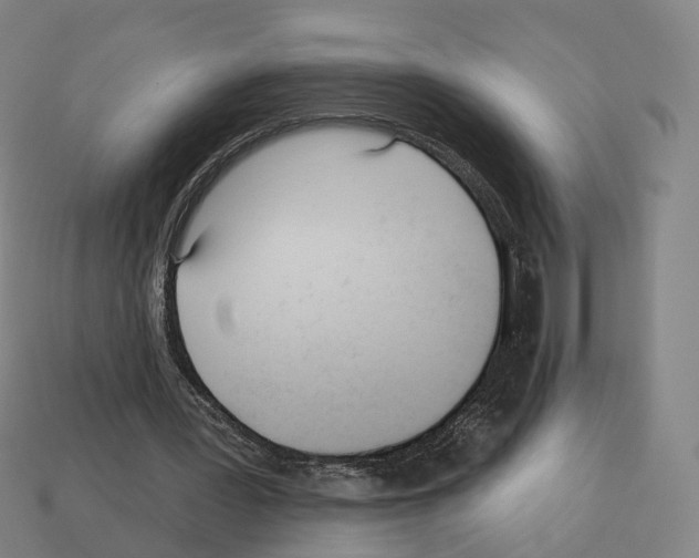 X0000112540387200909281104