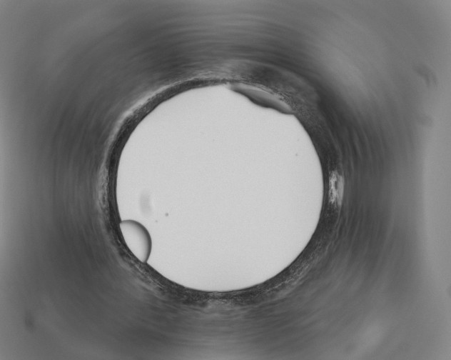 X0000112540388200909281104