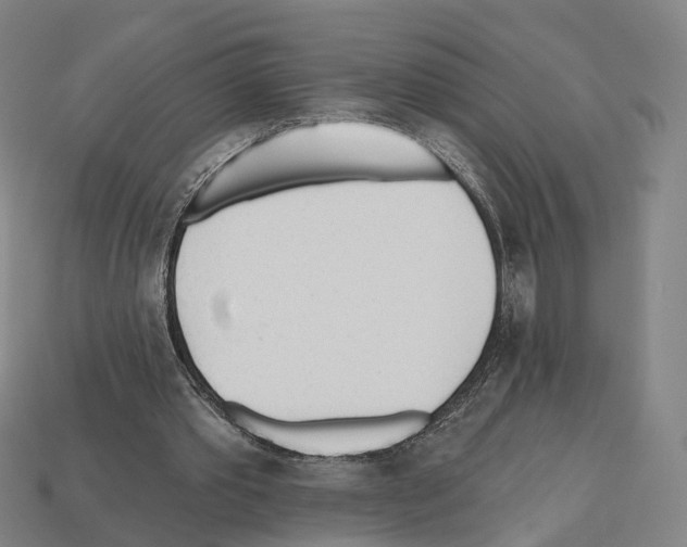 X0000112540389200909281104