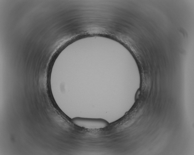 X0000112540391200909281104