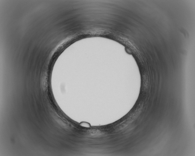 X0000112540392200909281104