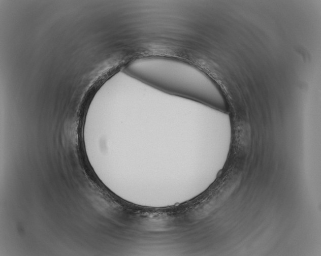 X0000112540395200909281104