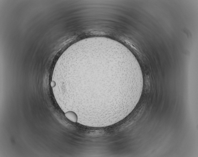 X0000112540398200909281104