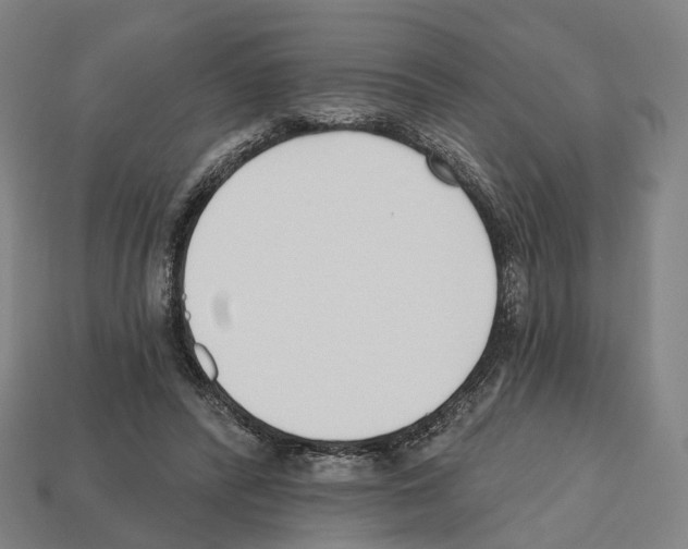X0000112540400200909281104