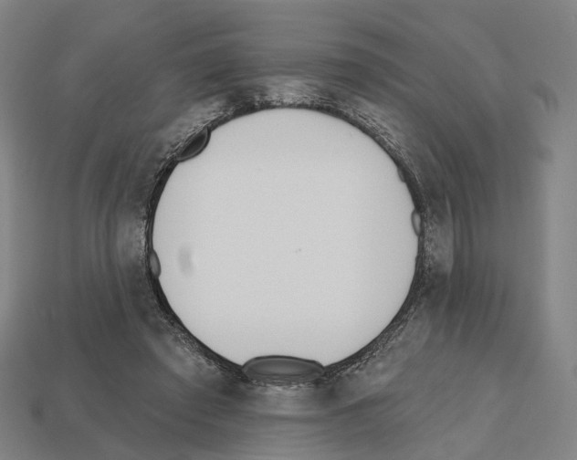 X0000112540401200909281104