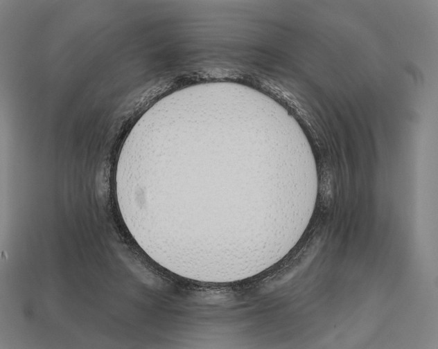 X0000112540402200909281104