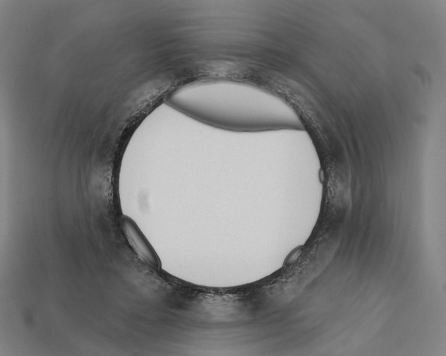 X0000112540403200909281103