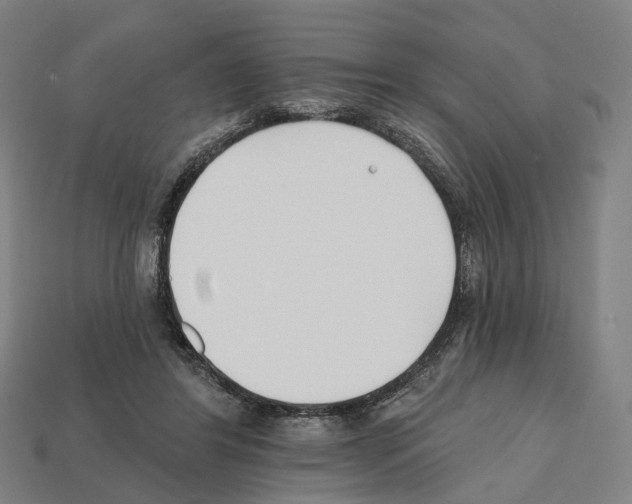 X0000112540404200909281103