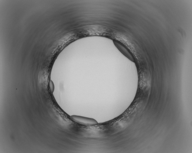 X0000112540405200909281103