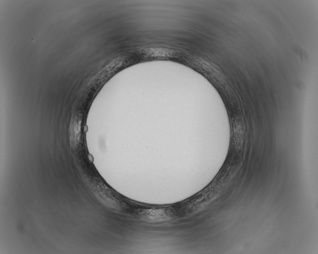 X0000112540406200909281103
