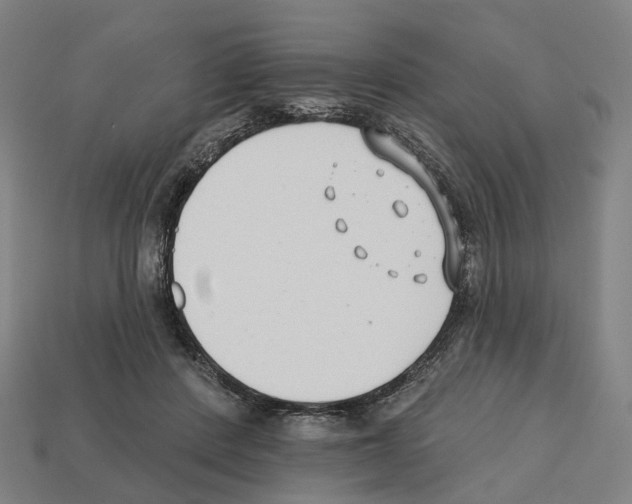 X0000112540408200909281103