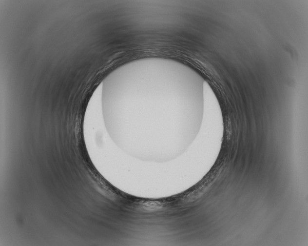 X0000112540409200909281103