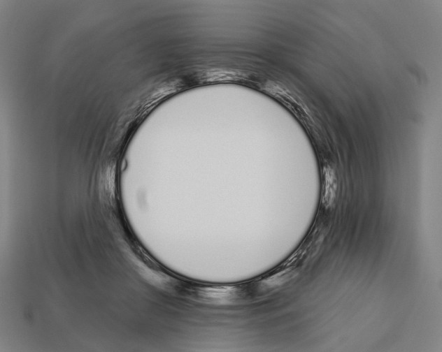 X0000112540410200909281103