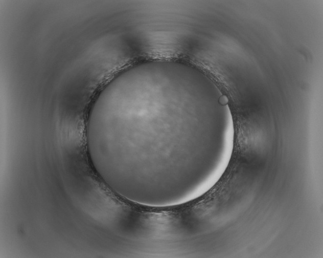 X0000112540411200909281103
