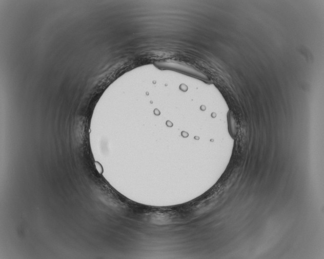 X0000112540412200909281103