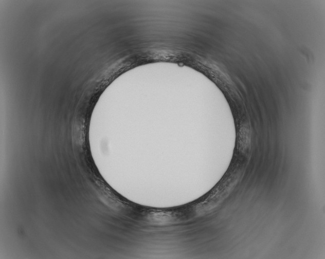X0000112540413200909281103
