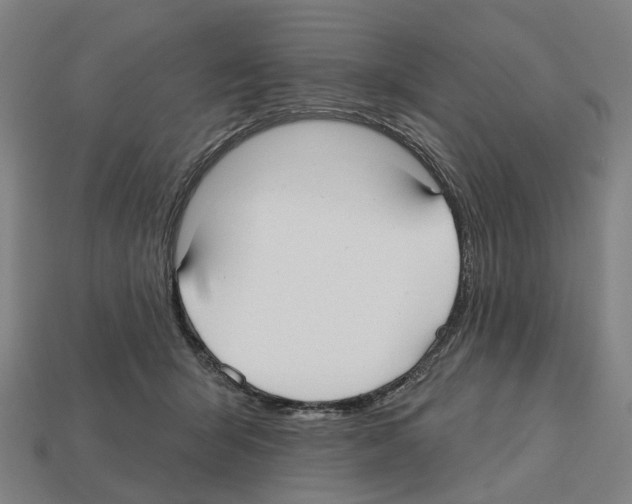 X0000112540415200909281103