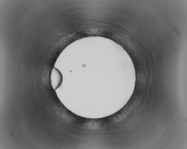 X0000112540416200909281103