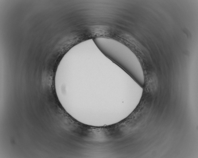 X0000112540417200909281103