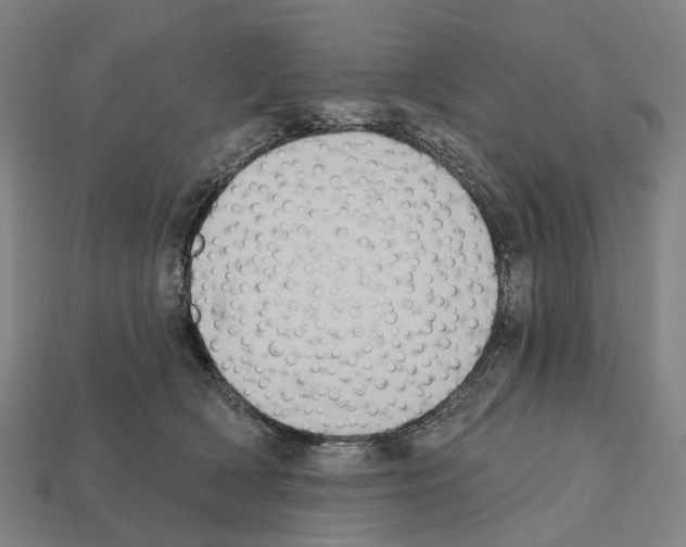 X0000112540418200909281103