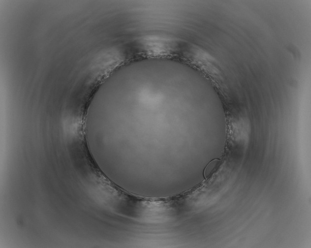 X0000112540419200909281103