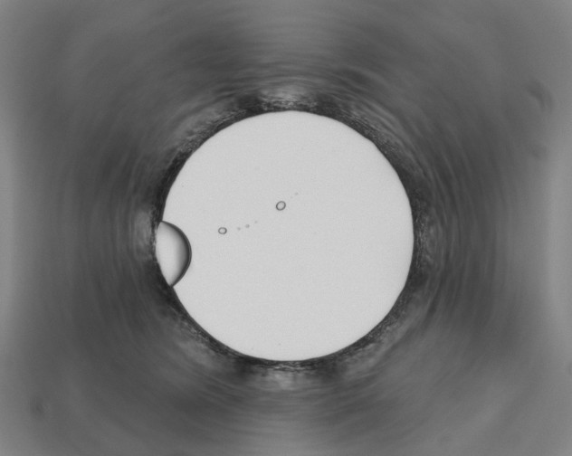 X0000112540420200909281103